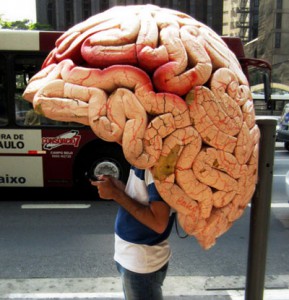 amigdala_emociones