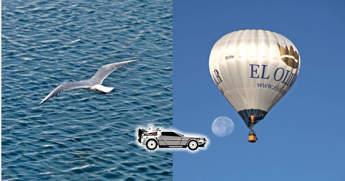 Levantar el vuelo depende de ti
